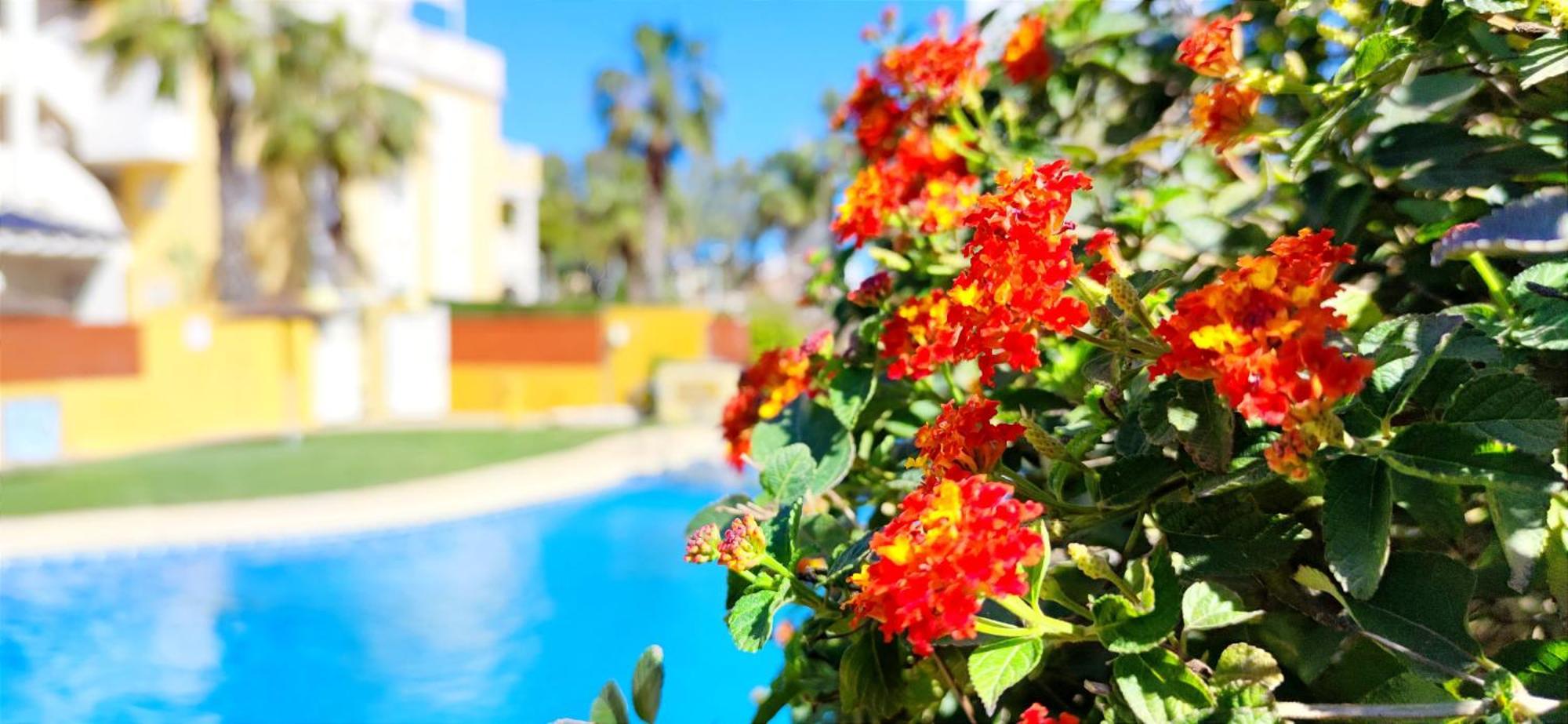 Apartamento Playa Sol By Denia Costa Exteriér fotografie