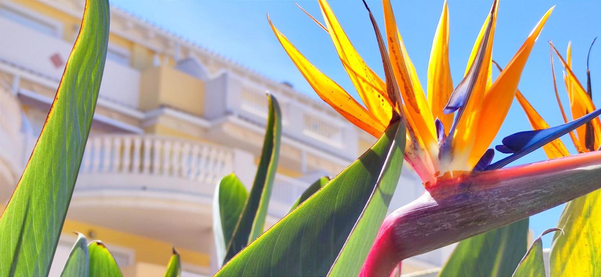 Apartamento Playa Sol By Denia Costa Exteriér fotografie